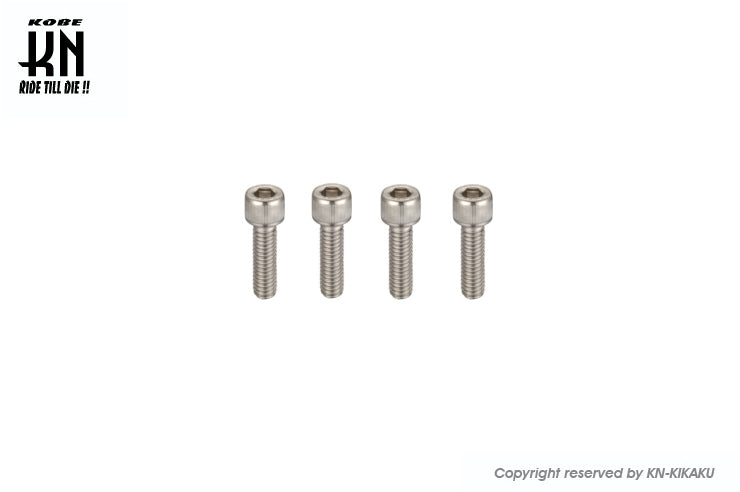 ヘックスステンレスボルト 【M6-20mm】 4本